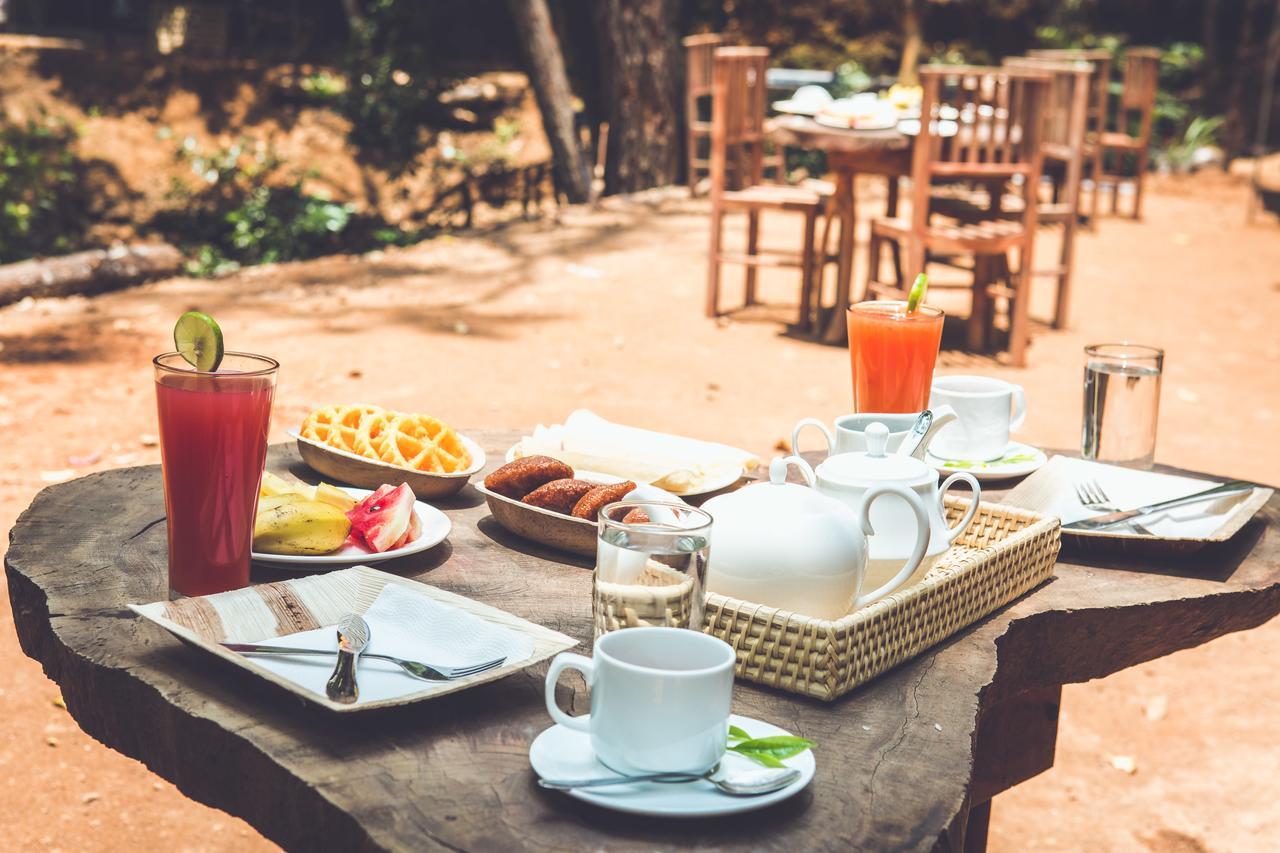 Ella Glamping Otel Dış mekan fotoğraf