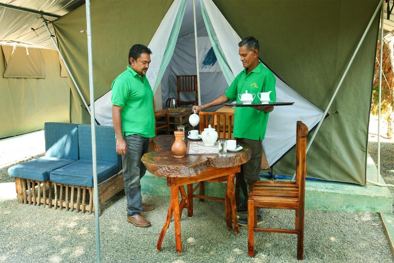 Ella Glamping Otel Dış mekan fotoğraf